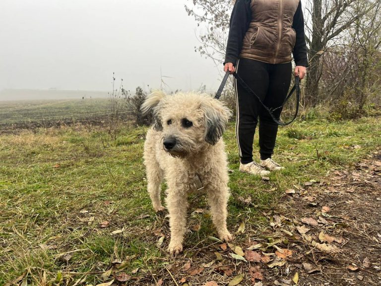 photo_2024-12-12_10-16-40