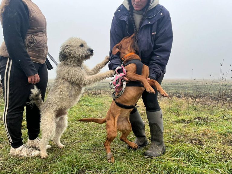 photo_2024-12-12_10-16-46