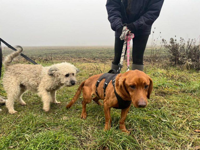 photo_2024-12-12_10-16-50