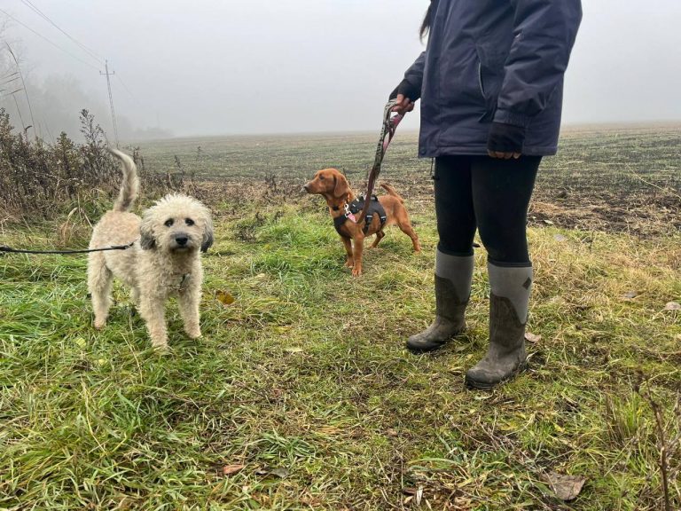 photo_2024-12-12_10-16-53