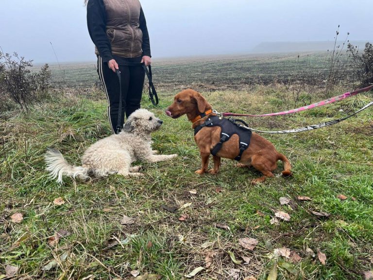 photo_2024-12-12_10-16-57