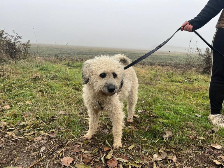 photo_2024-12-12_10-17-00