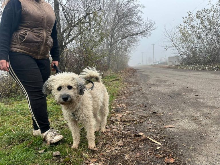 photo_2024-12-12_10-17-04