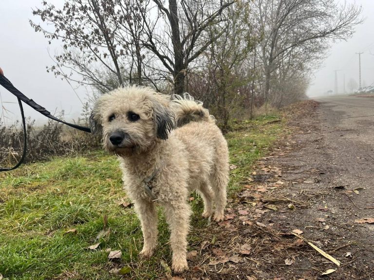 photo_2024-12-12_10-17-13