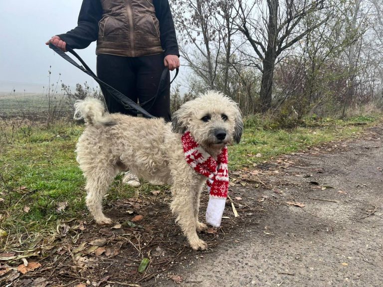 photo_2024-12-12_10-17-17