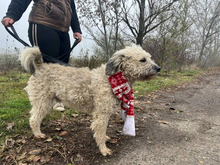 photo_2024-12-12_10-17-21