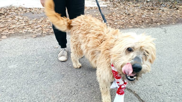 photo_2024-12-12_10-27-23