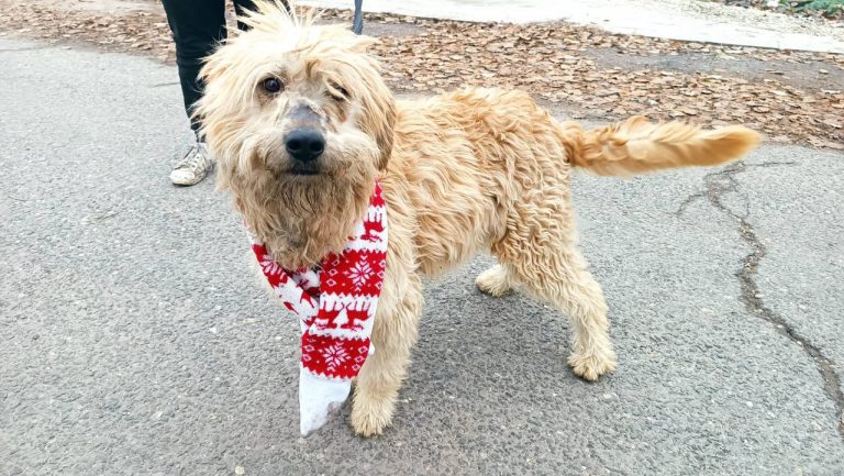 photo_2024-12-12_10-27-26