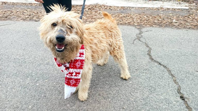 photo_2024-12-12_10-27-33