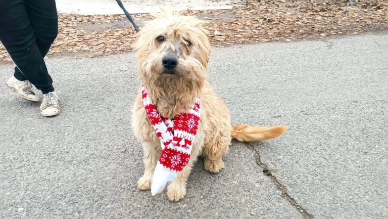 photo_2024-12-12_10-27-38