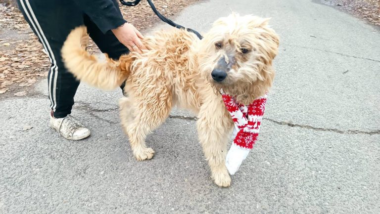 photo_2024-12-12_10-27-50