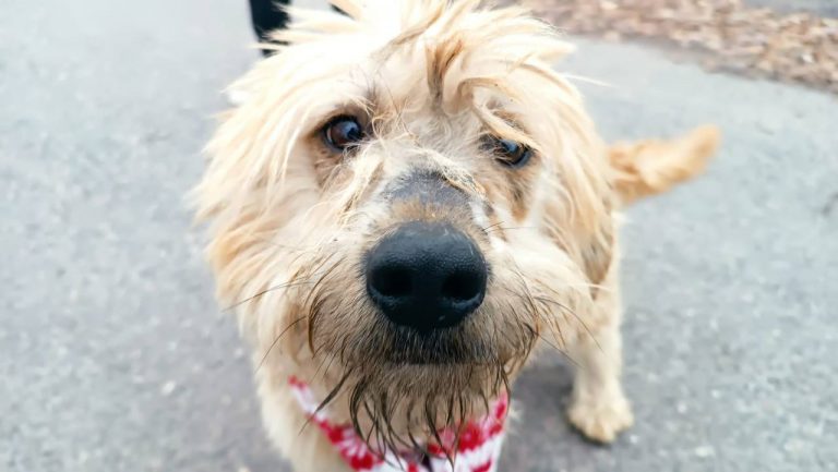 photo_2024-12-12_10-27-54