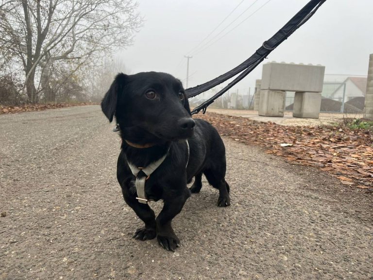 photo_2024-12-12_10-32-19