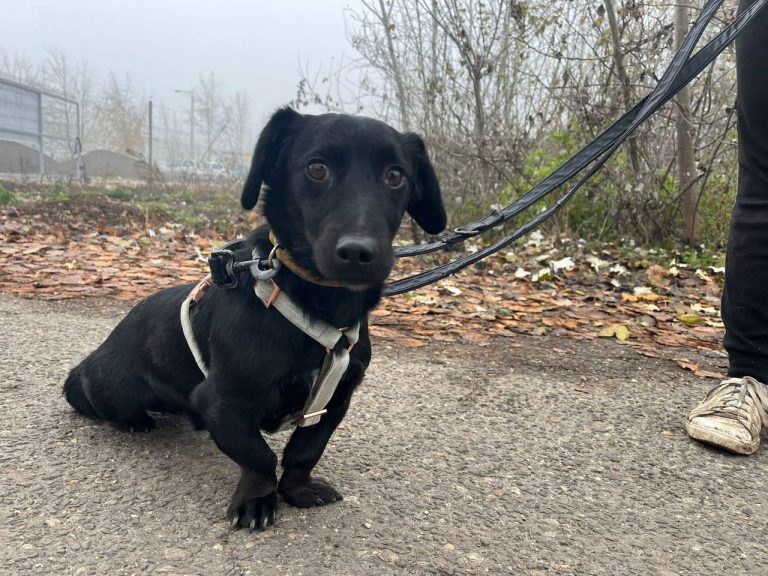 photo_2024-12-12_10-32-22