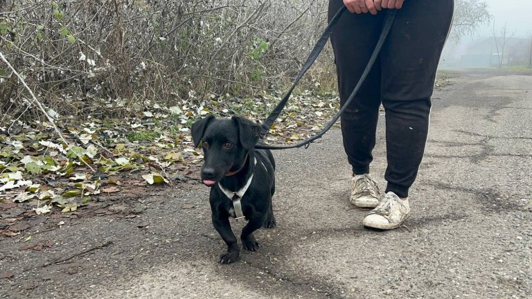 photo_2024-12-12_10-32-27