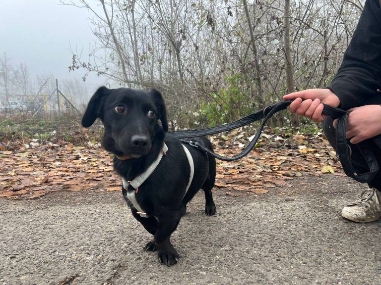 photo_2024-12-12_10-32-29