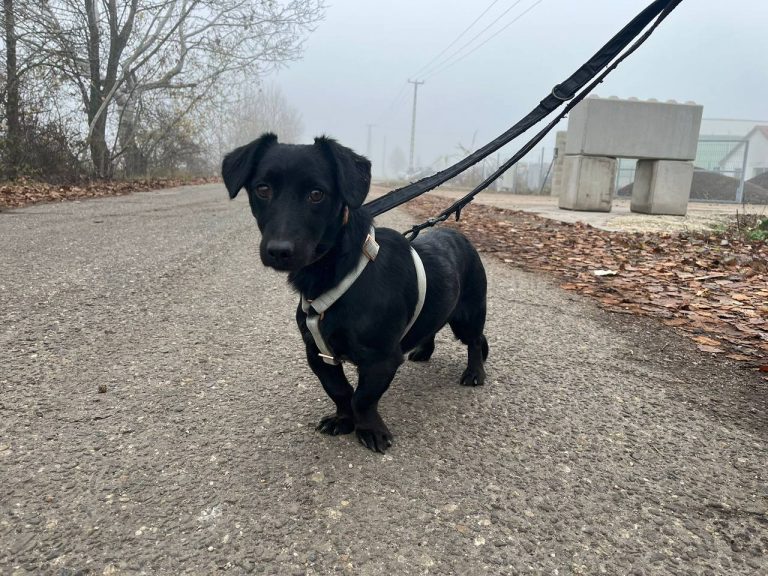 photo_2024-12-12_10-32-32