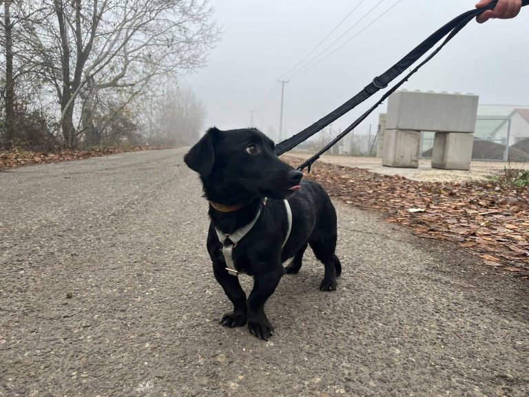 photo_2024-12-12_10-32-35