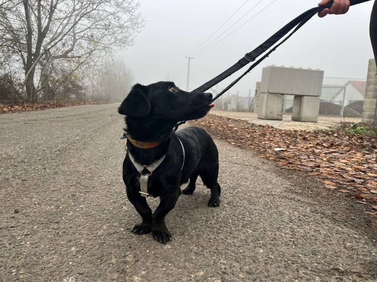 photo_2024-12-12_10-32-38