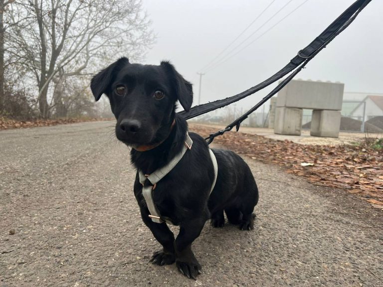 photo_2024-12-12_10-32-43