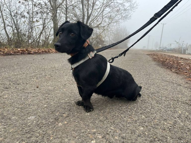 photo_2024-12-12_10-32-47