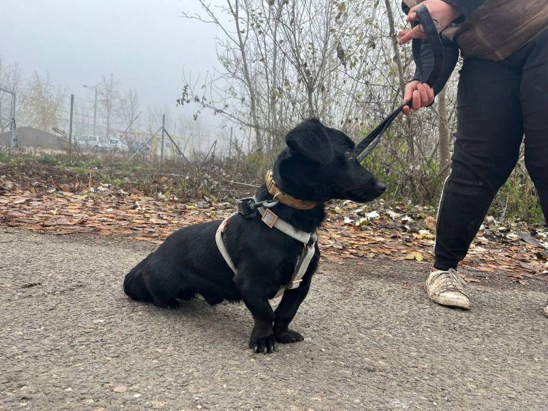 photo_2024-12-12_10-32-52