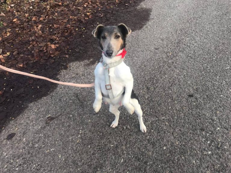 photo_2024-12-19_14-34-46