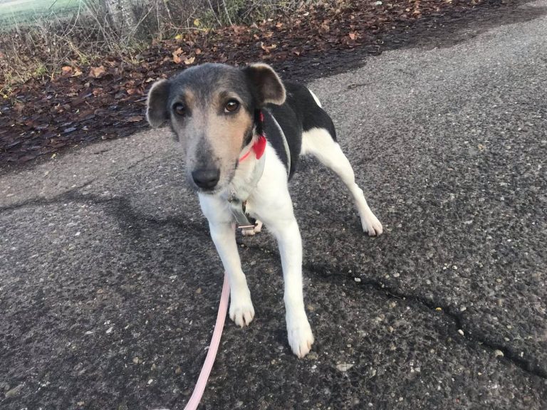 photo_2024-12-19_14-34-48