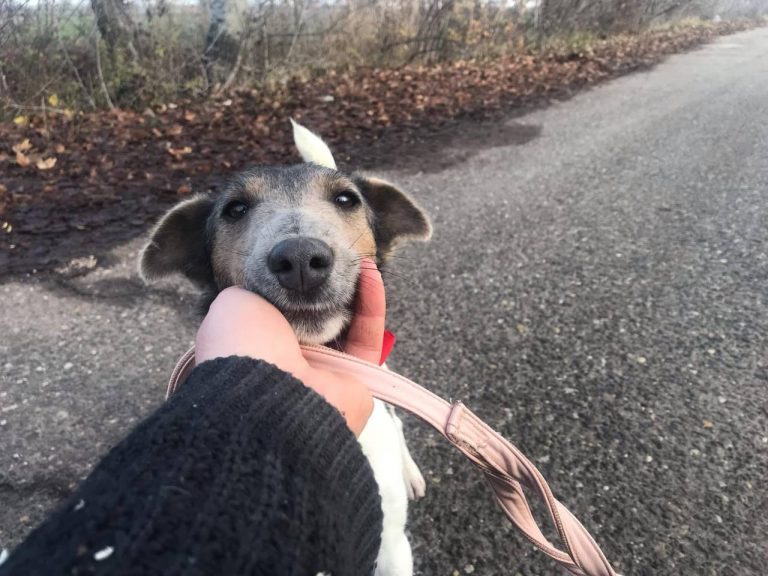 photo_2024-12-19_14-34-52