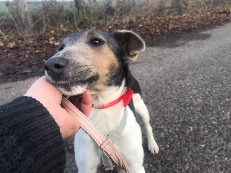 photo_2024-12-19_14-34-55