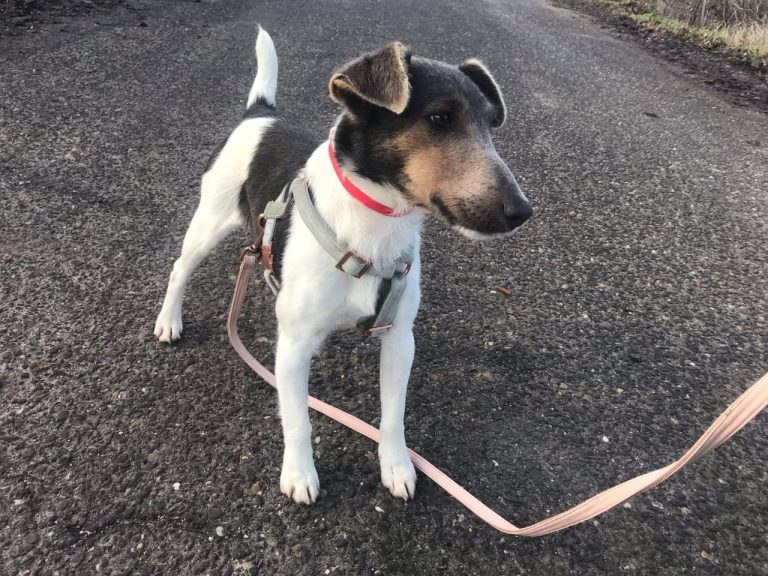 photo_2024-12-19_14-34-58