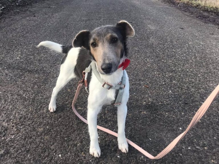 photo_2024-12-19_14-35-01