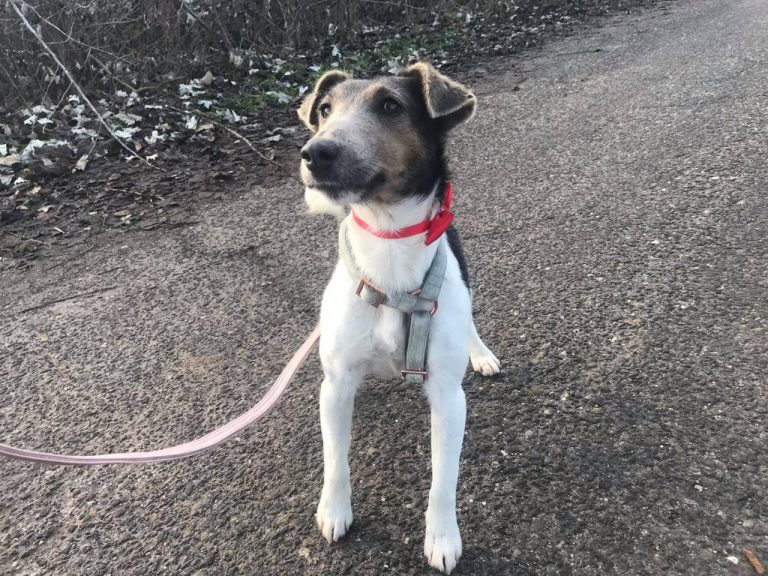 photo_2024-12-19_14-35-04