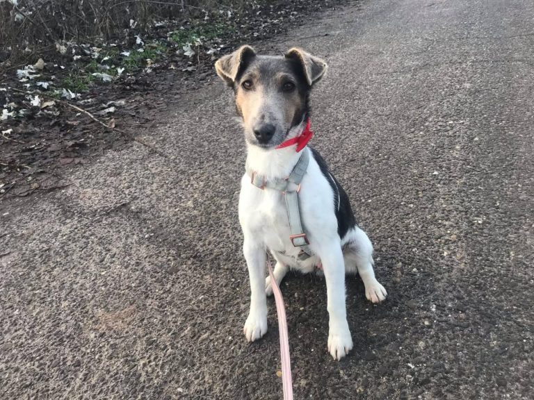 photo_2024-12-19_14-35-08