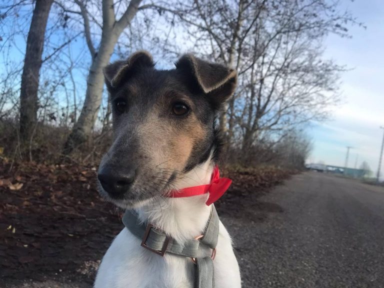 photo_2024-12-19_14-35-11