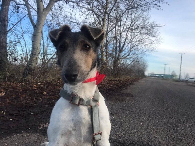 photo_2024-12-19_14-35-14