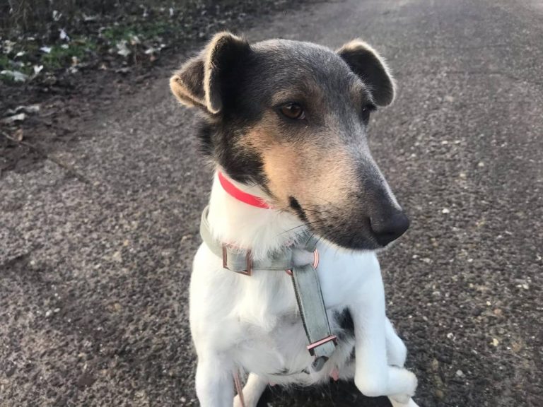 photo_2024-12-19_14-35-17