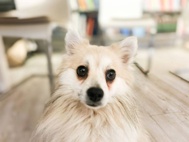 photo_2024-12-22_20-22-12