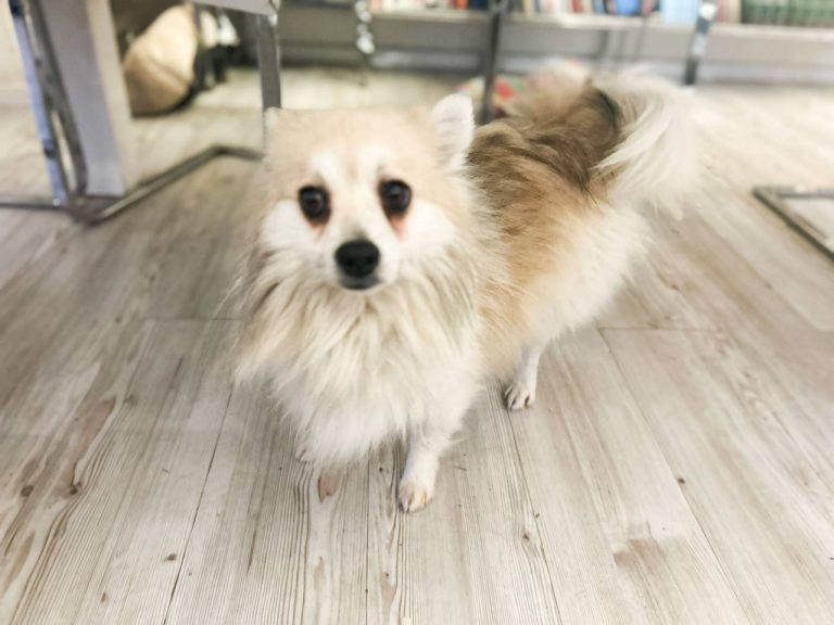 photo_2024-12-22_20-22-15