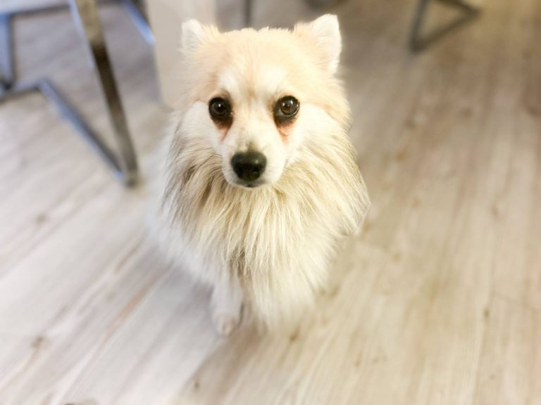 photo_2024-12-22_20-22-18