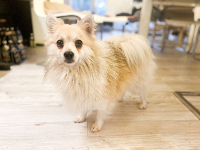 photo_2024-12-22_20-22-22