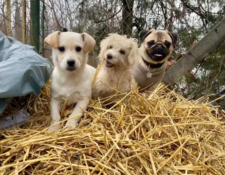 photo_2024-12-22_20-30-19