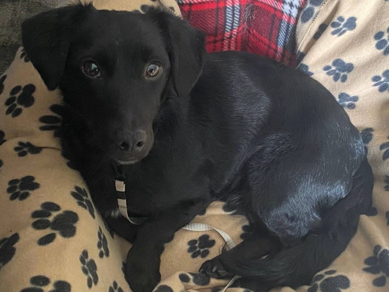 photo_2025-01-12_19-35-12