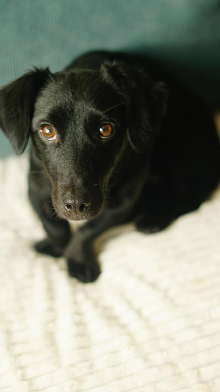 photo_2025-01-13_16-38-30