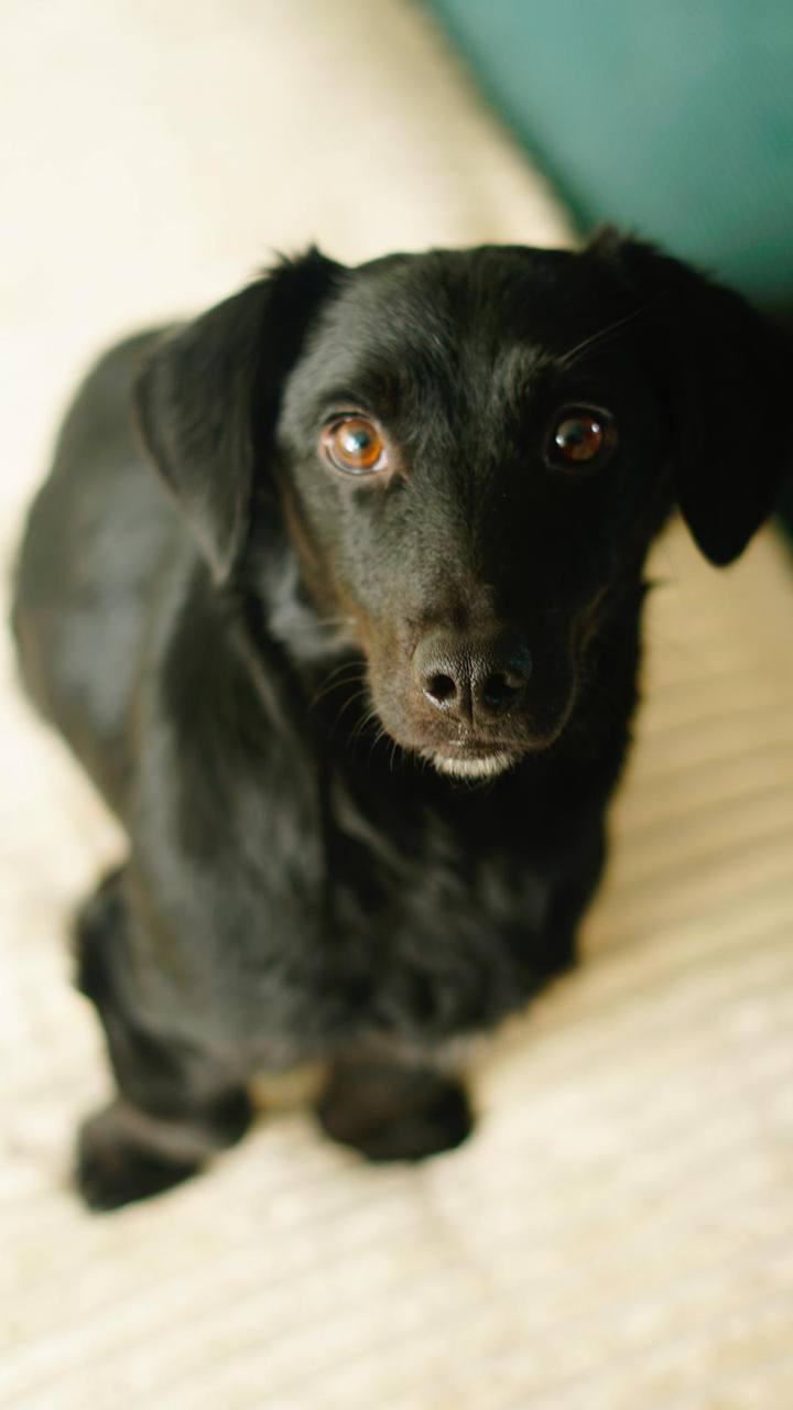 photo_2025-01-13_16-38-33