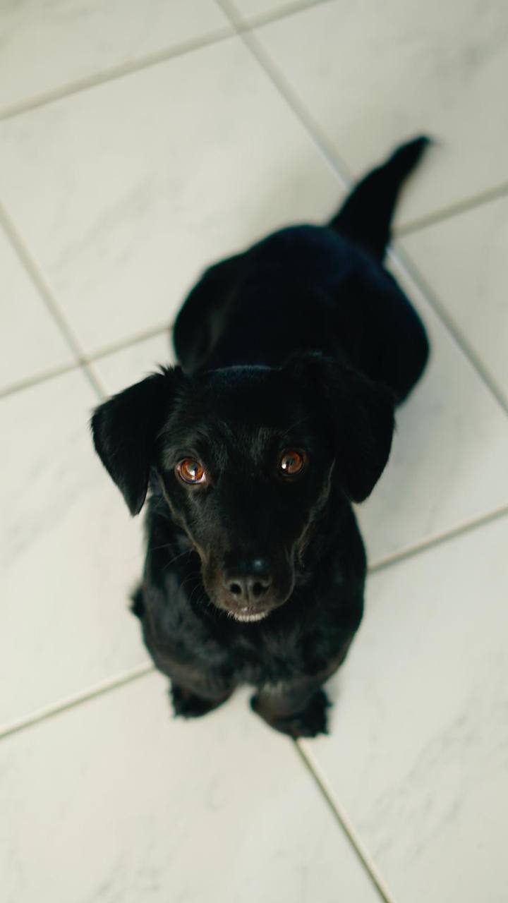 photo_2025-01-13_16-38-36