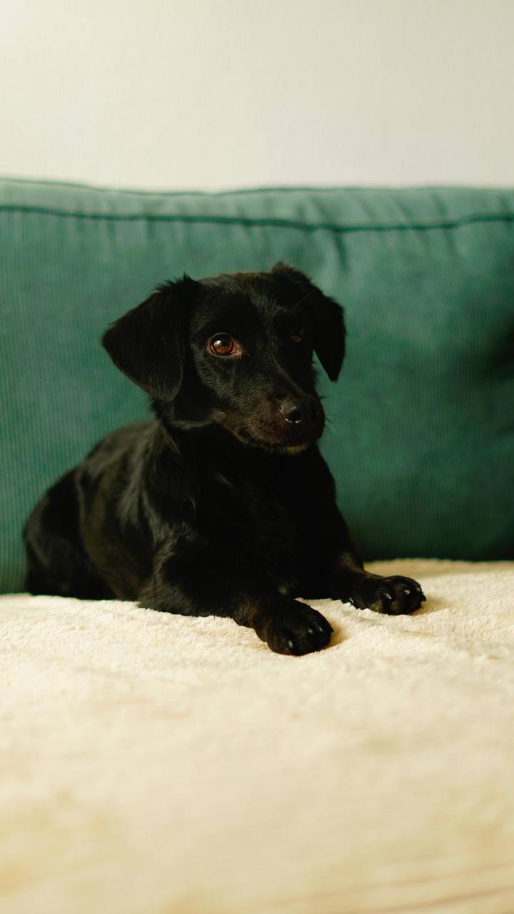 photo_2025-01-13_16-38-39