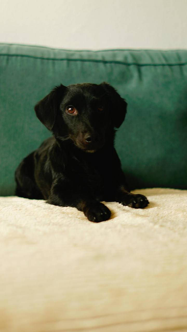 photo_2025-01-13_16-38-42