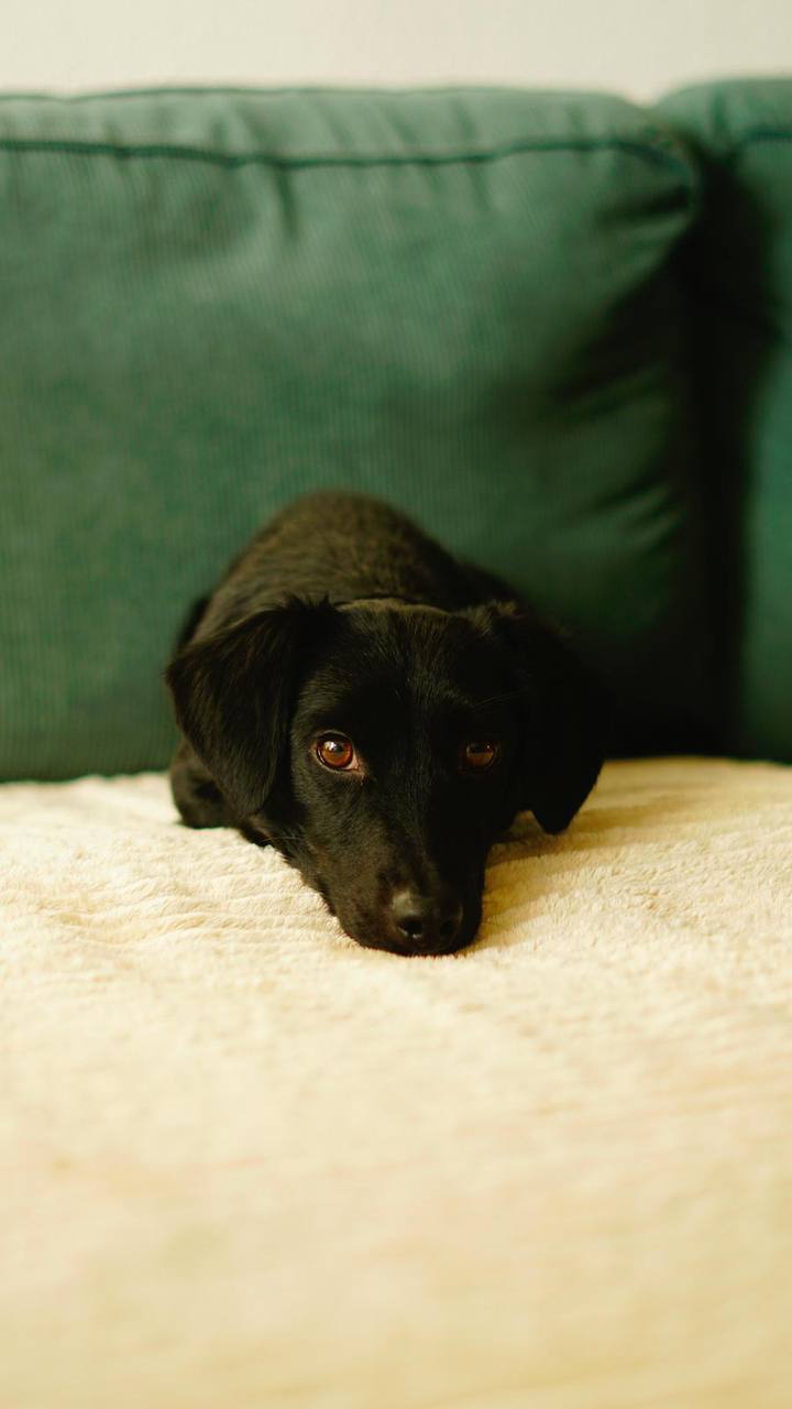 photo_2025-01-13_16-38-45