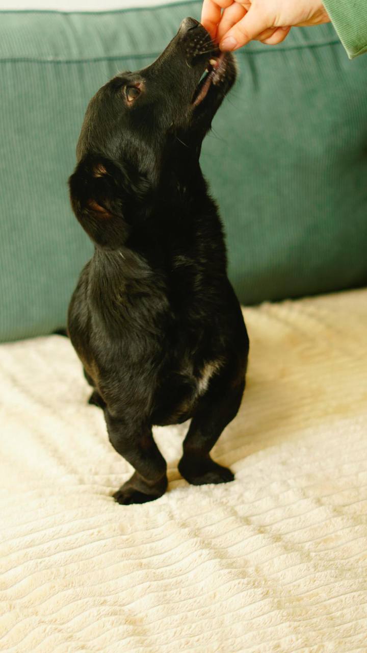 photo_2025-01-13_16-38-48